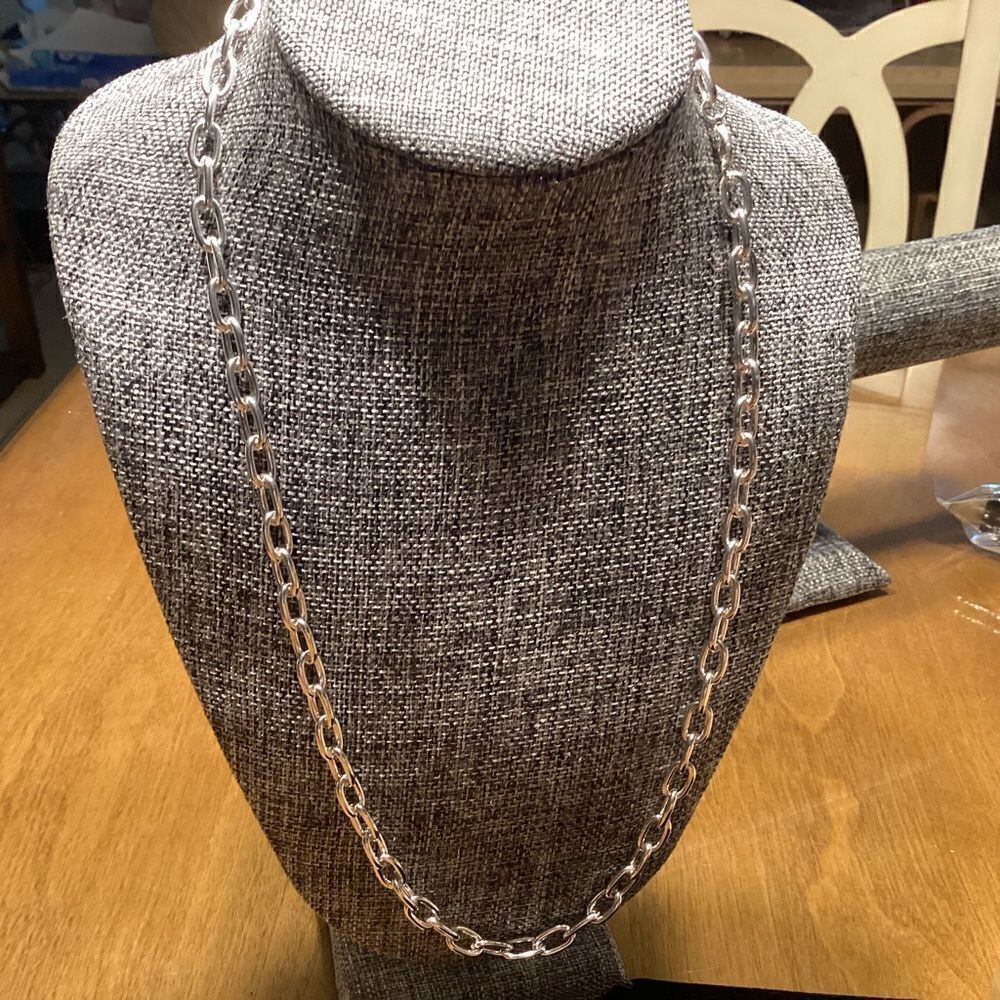 NWOT. Silvertone Oval Link Necklace 24”